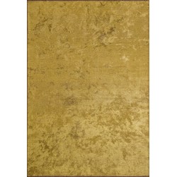 BASEL KİVİ BASEL KİVİ