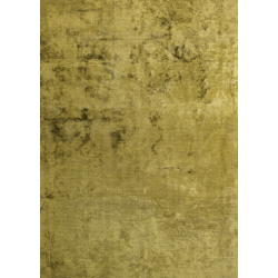 BASEL KİVİ BASEL KİVİ